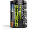 Net Integratori RECOVERY CELL LIPOSOMIALE - 330 g Gusto Arancia - Integratore Post Workout Avanzato per Recupero Muscolare e Sintesi Proteica con Glutamina Creatina BCAA in forma Liposomiale