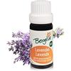 Bergila olio essenziale LAVANDA BIO, 100 ml - 100% naturale di materia prima biologica - qualità controllata e certificata