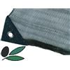P & B Rete per olive a teli Mt. 6x12 - intera