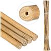 Suinga Set di 10 Tutori in Bambù per Piante 120 cm (10-12 mm) - Canne di Bambù, Supporti per Ortaggi, Pomodori, Alberi e Giardinaggio
