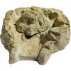 wasserkaskaden Fontane a Cascata Bacino con Sorgente Fulda Sorgente con Protezione antispruzzi Roccia, Beige/Marrone 42 x 41x 9 cm