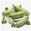 Generico Semi di Carosello Mezzo Lungo di Polignano 6g | Varietà Pugliese Tradizionale | Semi da Orto Alta Germinazione | Ortaggio Fresco Tipo Cetriolo | Per Giardino e Vaso | Made in Italy