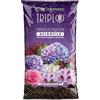 TerComposti Terriccio Acidofile TRIPLO 45/70L Miscela Professionale Proteica con Torba per Drenaggio PH 4.5 Acido (45L)