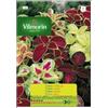 Vilmorin Kit 10 bustine semi COLEUS IN MISCUGLIO 130