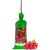 acquaverde | Pianta di Lampone Rosso, Rubus Idaeus, Cespuglio Rampicante e Perenne, Arbusto da Frutto in Zolla 40 Cm, Frutto Gustoso, Pronta al Trapianto e Facile da Coltivare