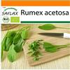 SAFLAX - - BIO - Acetosa - 400 semi - Rumex acetosa