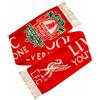 Liverpool F.C. Hy-Pro FC EPL Sciarpa NV by Arsenal, Unisex - Adulto, Rosso, Taglia Unica