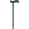 Generico Bastone in alluminio anodizzato colorato puntale con base larga Verde Art. RP191V