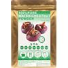 Plant Gift 100% Pure Water Chestnut Powder 马蹄粉 Farina di castagne di acqua naturale, ottimo sapore per bevande, frullati, torte e bevande, polvere non OGM, senza riempitore,100G/3.25oz