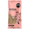 Goodly, Avena Integrale per Porridge, Senza Glutine, Ricca di Fibre e Fonte di Proteine, 300 g