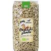 BIO PLANET Arachidi tostate senza sale BIO 1 kg - BIO PLANET