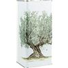 Chinunno Olio Extra Vergine D'oliva 100% Pugliese (3 Litri)
