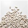 Il Contadino - Antichi Sapori FAGIOLI CANNELLINI | Il Contadino | Legumi Secchi (5 Kg)