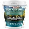 Pittura Purificante Pittura Antimuffa Fotocatalitica per Interni/Vernice Lavabile Atossica adatta a Bambini e Animali/Traspirante e Risanante per Pareti interne Muro Legno Metallo/No Tossica (Trasparente, 4 Kg)
