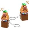 TaimeiMao 2 pezzi Capybara Fidget Keychain, Ribbiting Fidget Toy with Lights, Quackendes Capybara, Capybara Antistress for Anxiety & Nervousness, Focus Aid