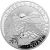 Silbermünze Arche Noah 2021 incl. capsula moneta, 1 oncia, tassazione differenziale secondo § 25a UstG