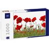 Lais Puzzle Papaveri 1000 Pezzi