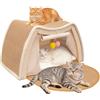 LUNNTE Tiragraffi per gatti, 3 in 1, in legno, per interni e gatti, 2 piani, con palla da gioco, giocattolo per gatti e cani di piccola taglia (beige, 50 x 40 x 35 cm)