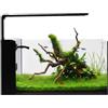 Aqpet Acquario Completo Aqua Rear in Vetro Extrachiaro con Sistema filtrante integrato e Luce Led inclusa 60x30x30 cm