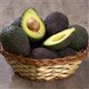 Generic Semi di avocado resistenti, esotiche le sono resistenti, giardino fresca, balcone giardino 25pcs