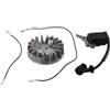 Drivstraw Kit volano e accensione per motosega 2500 25CC, compatibile con sega a mano singola da 12 pollici, prestazioni migliorate per avviamenti affidabili e longevità