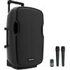 Audibax Denver Altoparlante Combo Port 15 VHF. Cassa Bluetooth - Trolley System, Caricatore per Batteria + Cavo 12 V. 2 Microfoni Wireless, Nero. Misure: 485 x 445 x 740 ml