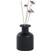 QUUPY 1 flacone da 150 ml diffusore in vetro vuoto, per aromaterapia barattolo accessori per profumeria uso con oli essenziali bastoncini di ricambio per diffusori fai da te decorazioni artigianali nere