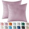 Ystyle Federe Cuscini Divano 60x60 2 Pezzi, Copricuscino Natalizie in Velluto, Copricuscino Divano Lavabili e Resistenti Anallergico Antiacaro e Traspirante con Cerniera Nascosta, Viola Chiaro