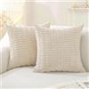 CYCMACO Federe Cuscini Divano In Velluto 40x40, 2 Pezzi Morbido Copricuscini Divano, Minimalista Copricuscino, Soggiorno Federe Cuscini Con Cerniera Invisibile, Beige
