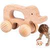 Générique Giocattoli per auto in legno - Set di trasporto educativo e portatile | divertente giocattolo per veicoli motori, apprendimento, push giocattolo per bambini, bambini, bambini, ragazze