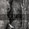 Cherry Red Records Harmony For Elephants