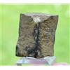 Staurolite 32 Grammi - Coray, Châteaulin, Finistère, Bretagna, Francia
