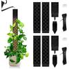 LangRay Bastone di muschio per piante rampicanti Monstera, 4 x 25 cm, autoirriganti, in plastica, supporto per piante rampicanti