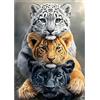 NEWENMO 5D Tre Tigri Diamond Painting Adulti Pittura Diamante Kits | Animali Pittura Diamante Kit Completo,DIY Diamond Art Kits,Diamond Painting Set per Decorazione Casa e Regalo 30x40cm