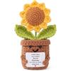 Aruigu Regali Ispirazionali per Donne Positivo Fiore di Sole in Maglia per Famiglia, Amica, Migliore Amica, Regalo di Ringraziamento, Apprezzamento per Collega, Compagno di Lavoro, Capo, Insegnante