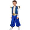 Agoky Costumi da Principe Arabo per Bambini in Raso Gilet e Harem Pantaloni Costume Principe da Aladino Fiaba Cosplay di Halloween Carnevale Travestimento