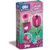 Clementoni Idea - Create Your Flowers, Kit Creativo per Comporre Fiori, Bambini 8+ Anni, con 2 Tulipani in Carta da Assemblare e Personalizzare, Idea Regalo Gioco Made in Italy, Lingua Italiana, 18878