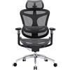 SIHOO Doro C300 Pro Sedia da ufficio ergonomica con braccioli 6D ultra morbidi, supporto lordosi dinamico e regolazione della profondità della seduta per la casa ufficio (nero)