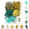 iDattel Fiori secchi Naturali,Fiori secchi per Resina,Mix di Fiori Naturali, per Fai da Te, Set di Fiori essiccati Naturali, per lavori artistici, Fai da Te, in Resina, Album di Ritagli(Blu)…