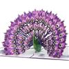 Magic Moments® Pavone Reale Biglietto Auguri Pop-up 3D grande con busta per Madre, Donna, Fidanzata. Biglietto Regalo per Compleanno, Anniversario, Matrimonio e Festa della Mamma.