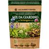 ALEJANDRO FUENTES AF® - Mix Semi per Tartarughe di Terra, Formulazione Rapida 40g | Cicoria, Trifoglio, Cardo Mariano, Erba per Tartarughe da Coltivare con Guida Illustrata | Cibo Naturale per Testudo Hermanni e Graeca
