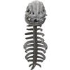 Generico Realistic Skeleton Dinosaur Costume Plush Dinosaur Skull Costume For Halloween Cosplay For Kids Adults