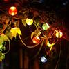 Aigostar Stringa luci Led per esterno 8M, 10 lampadine MULTICOLORE LED impermeabili IP44, connessione end-to-end, luci festone a bassa tensione per esterni per giardino, patio, ponti a Natale