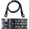 chenyang Adattatore combinato M.2 da NVME a SFF-8654 e NGFF SSD a SATA 2 in 1 con cavo SFF-8654 per espansione interna della scheda madre (non funziona da SSD NVME a SATA)