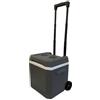 predolo Contenitore Isotermico 18 L, Frigo Portatile con Ruote, Ghiacciaia Freddo Mantiene, Box Frigo su Ruote per Commercianti Ambulanti, Casa, Campeggio, Mercato All'aperto