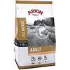 ARION Grain Free Adult Salmon&Potato 12kg