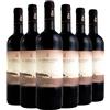 Guado al Tasso Bolgheri DOC Bruciato 2024 Box da 6 bottiglie