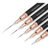 ZEOHBETY Pennelli per nail art, 5 pennelli per nail art, set di pennelli per disegnare e punteggiare le unghie, per linee lunghe, dettagli sottili, dimensioni 4/8/12/20/25 mm，nero