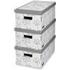 Domo Pak Scatole per Armadi set 3 Cartone 29x52x20cm Domopack Living - Fantasie Varie /'