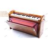 Fatto a mano Nuovo strumento musicale indiano BINA Dulcetina 2,5 ottave portatile Harmonium